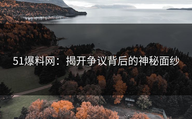51爆料网：揭开争议背后的神秘面纱