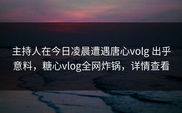 主持人在今日凌晨遭遇唐心volg 出乎意料，糖心vlog全网炸锅，详情查看